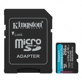 Memory card - Micro SD 256GB